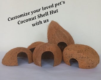 Coconut Hut | customize your coconut shell hut | Coconut bird house |