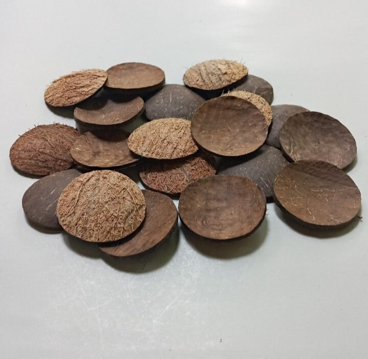10 Pieces of 1.5 & 2 Coconut Shell Discs to Make Your Coconut Shell ...