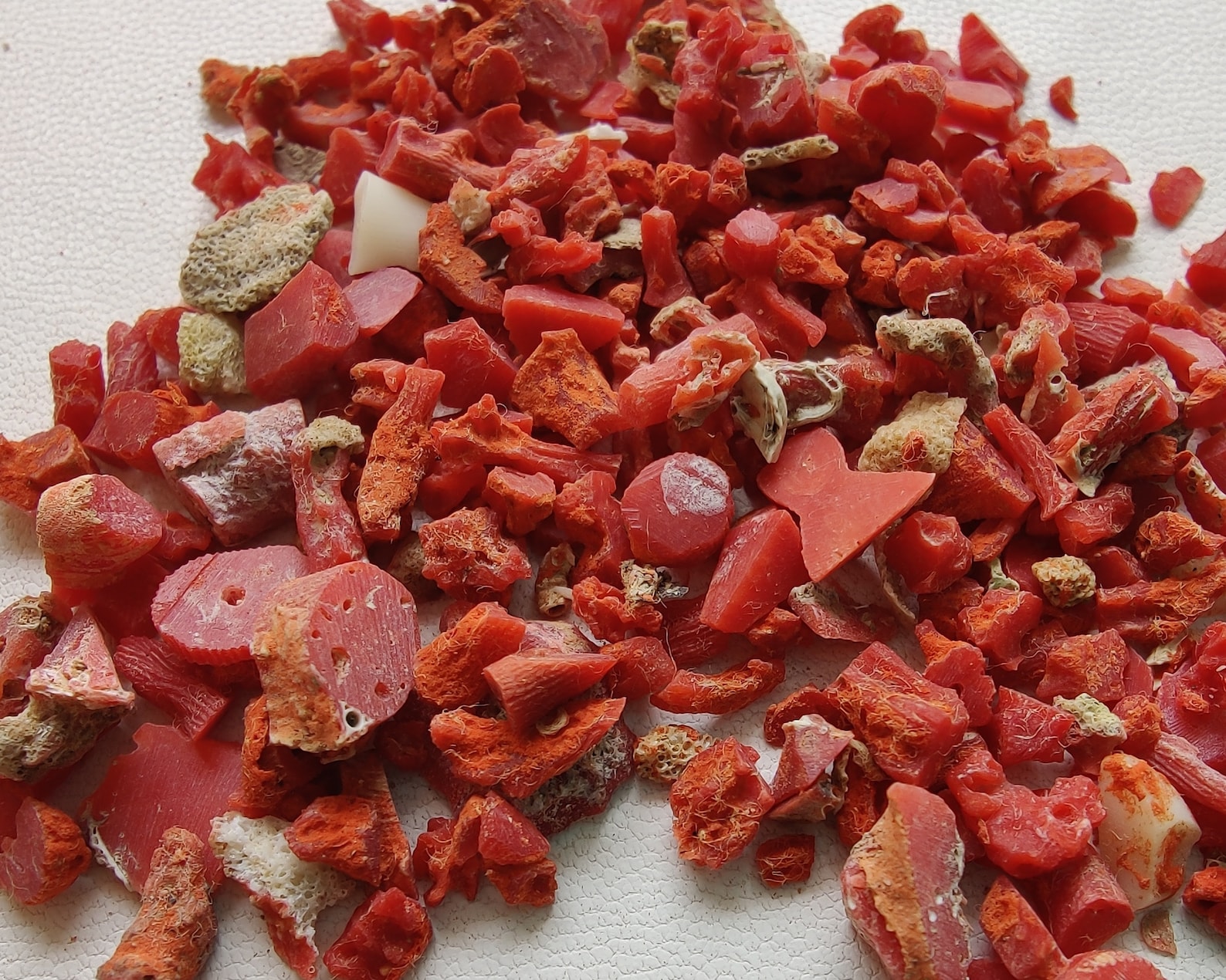 100 Natural Red Coral Rough Gemstone Loose Stone Coral Rough Etsy