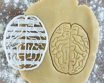 Anatomical brain cookie cutter, Medical cookie cutter, Future doctor, Gifts for medical student science students, Nurse gifts, Fondant clay