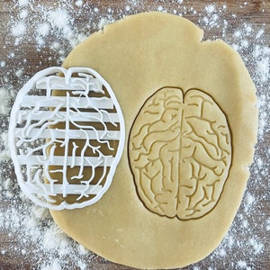 Anatomical brain cookie cutter, Medical cookie cutter, Future doctor, Gifts for medical student science students, Nurse gifts, Fondant clay