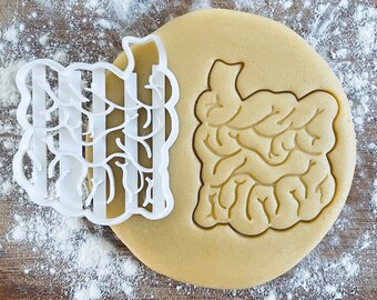 Intestines cookie cutter, Human body cookies,  Medical cookie cutter, Future doctor, Gifts for medical student science students, Nurse gifts