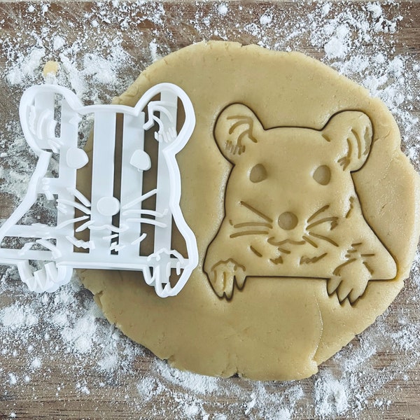 Rat cookie cutter, Cute rat biscuits, Rodent cookies, Kids party ideas,  lab laboratory mice, Gift gifts present, Mouse mice rat