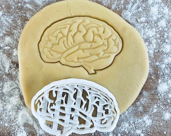 Anatomical brain cookie cutter, Medical cookie cutter, Future doctor, Gifts for medical student science students, Nurse gifts, Fondant clay