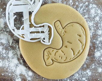 Stomach cookie cutter, Human body cookies,  Medical cookie cutter, Future doctor, Gifts for medical student science students, Nurse gifts