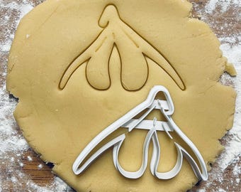 Anatomical clitoris cookie cutter, Womb anatomy, Future doctor, Gifts for medical student science students, Nurse gifts, Fondant clay