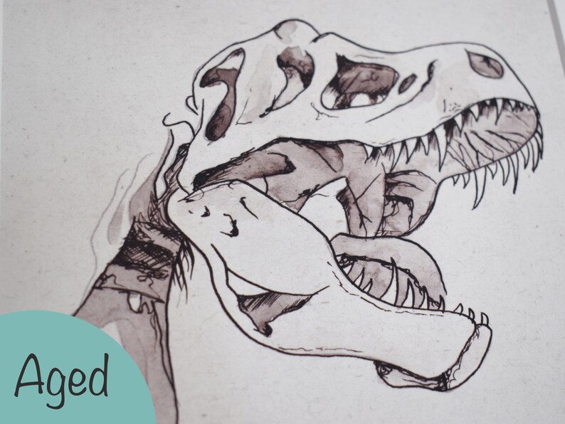 Puede incluir: Ilustraci&oacute;n en acuarela de un cr&aacute;neo de Tyrannosaurus Rex en tonos grises y marrones. El cr&aacute;neo del dinosaurio tiene dientes afilados y est&aacute; sobre un fondo neutro. La palabra "Aged" est&aacute; en un c&iacute;rculo turquesa.