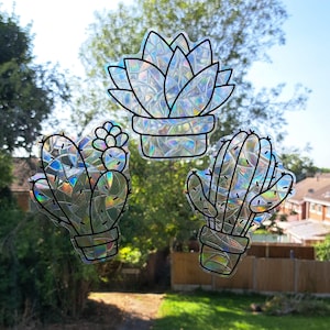 Cactus Suncatcher Window Stickers, Succulent Suncatcher Window Sticker, Suncatcher Window Decoration, Cactus Window Decal