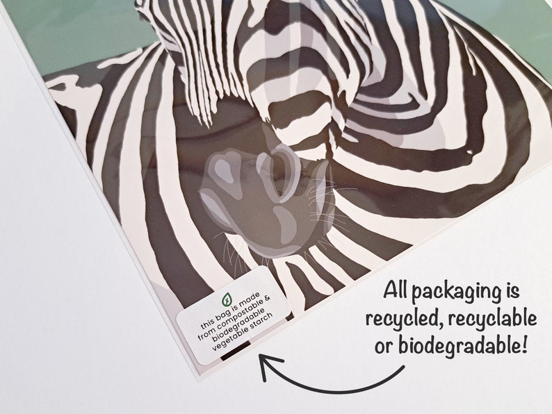 Puede incluir: Primer plano de una ilustraci&oacute;n de cebra con rayas blancas y negras. La imagen est&aacute; en una bolsa de pl&aacute;stico transparente con una pegatina que dice "esta bolsa est&aacute; hecha de almid&oacute;n vegetal compostable y biodegradable". El texto del embalaje dice "&iexcl;Todos los embalajes son reciclados, reciclables o biodegradables!"