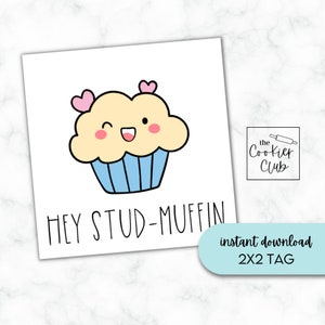 May include: A printable 2x2 inch tag with a cartoon cupcake with pink hearts and the text "Hey Stud-Muffin". The tag is from The Cookier Club.