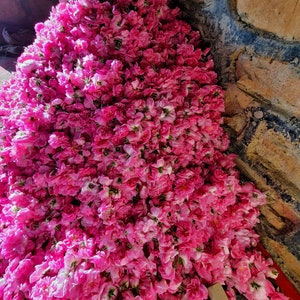 Taif Saudi Pure Rose essential oil