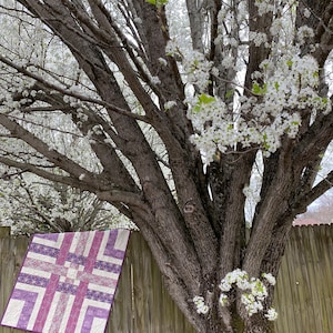 May include: A purple and white quilt with a geometric pattern hangs on a wooden fence in front of a tree with white blossoms.