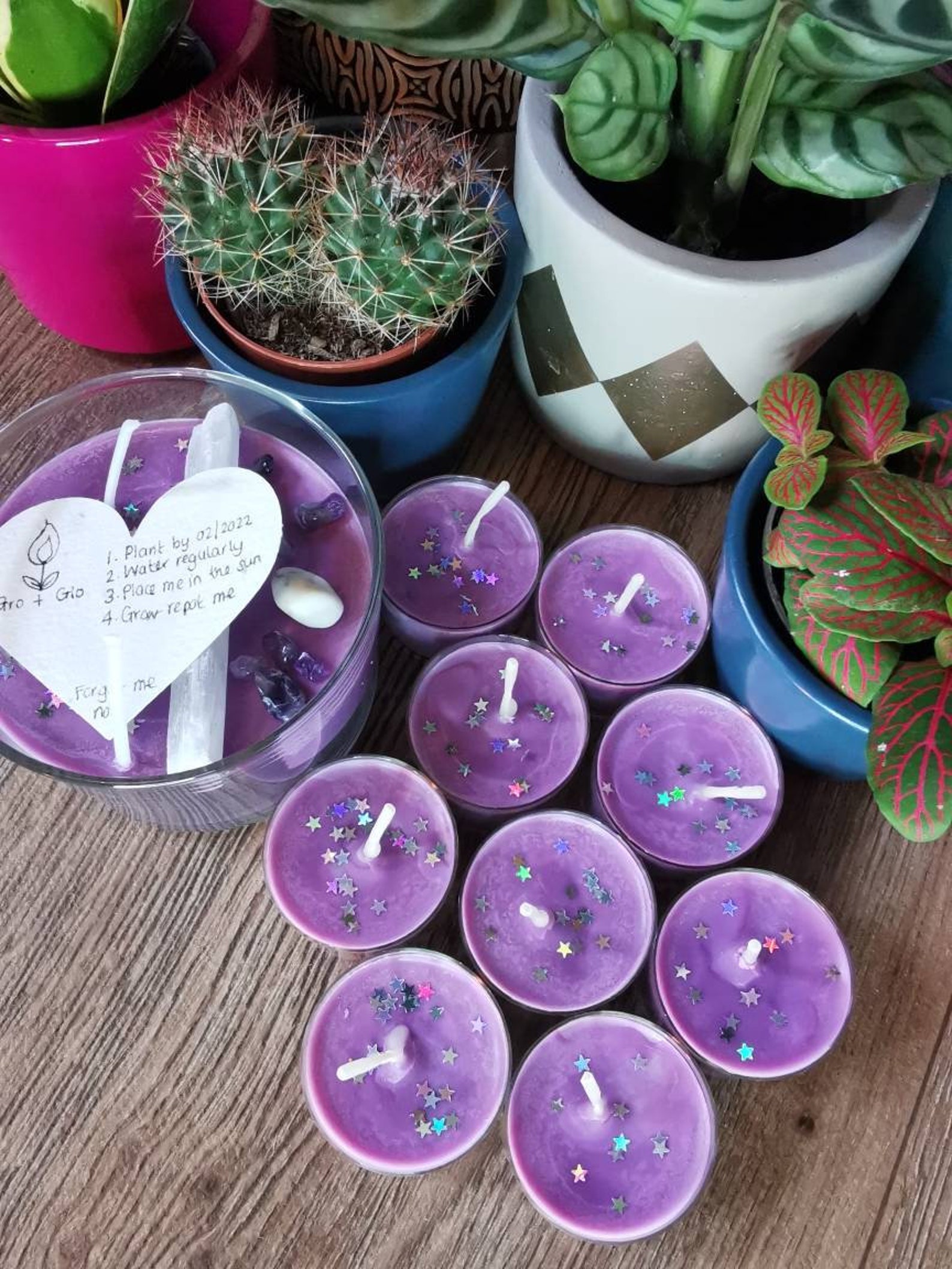 glow & grow candle grow kit