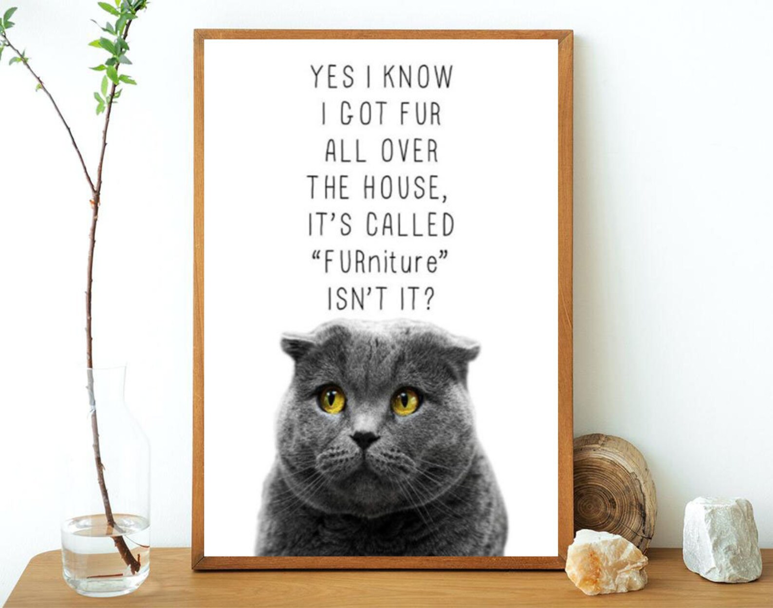 Cat Poster Vintage Cat Poster Funny Cat Poster Cat Etsy