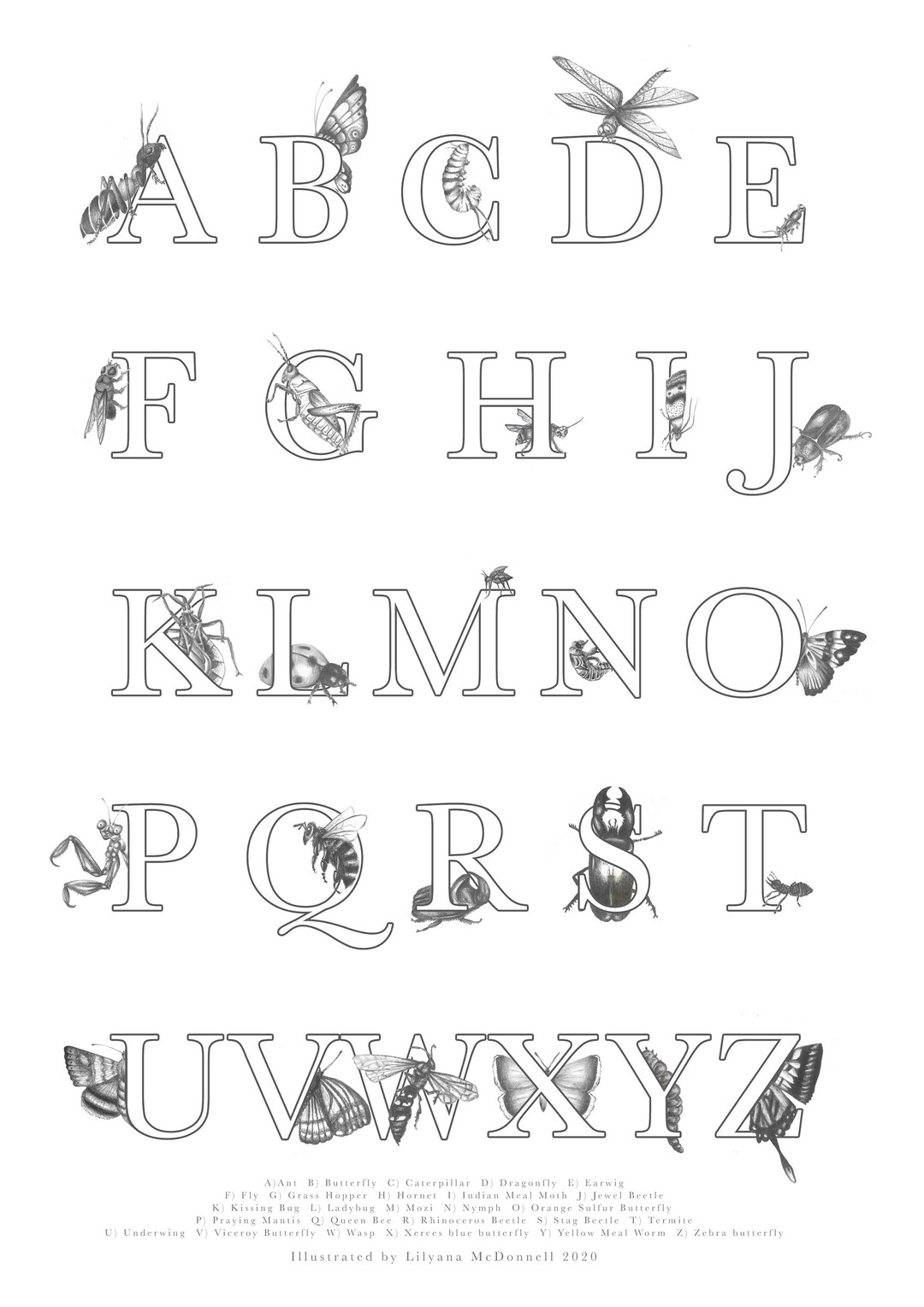 Insect Alphabet Etsy