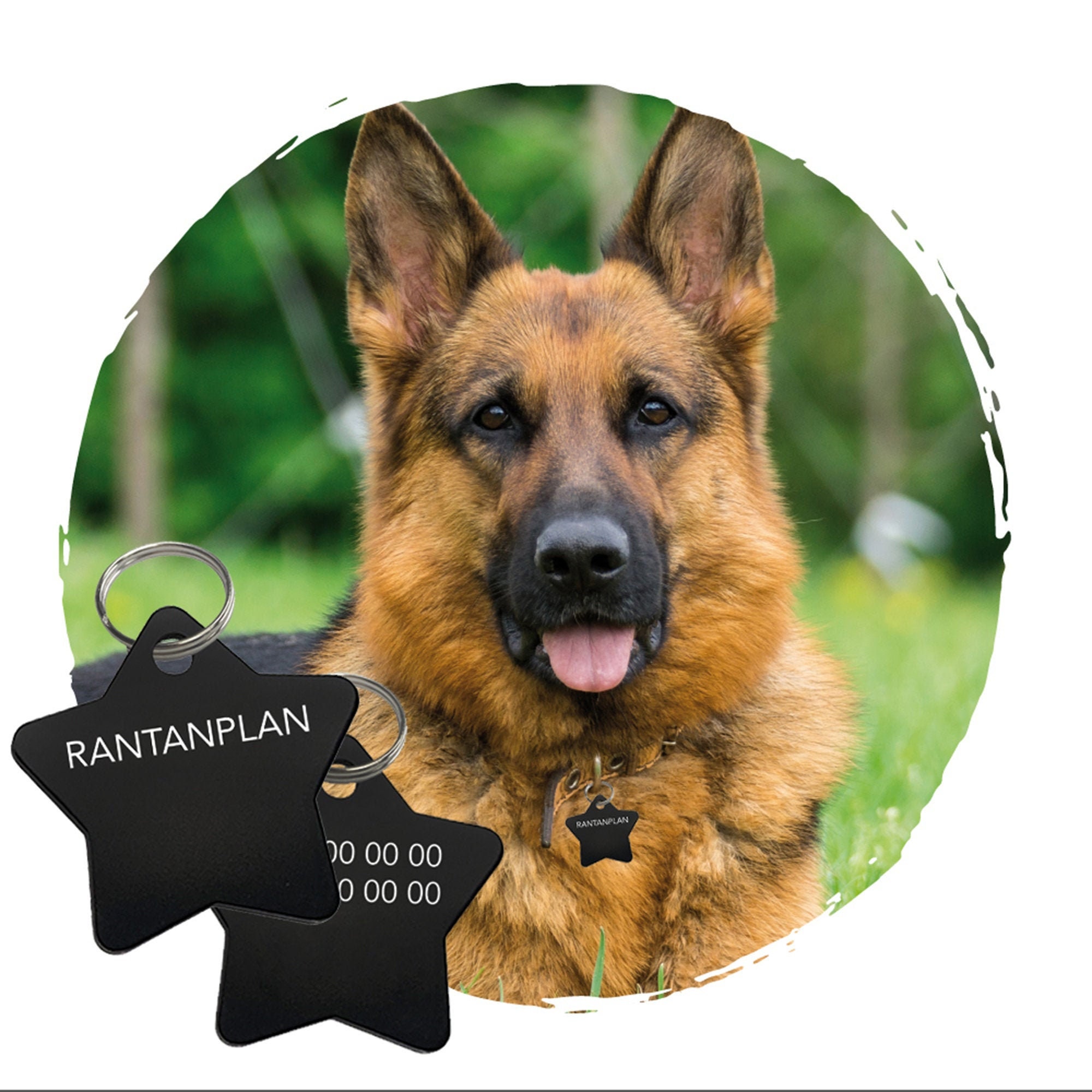 Médaille Grande Etoile Pour Chien Personnalisée