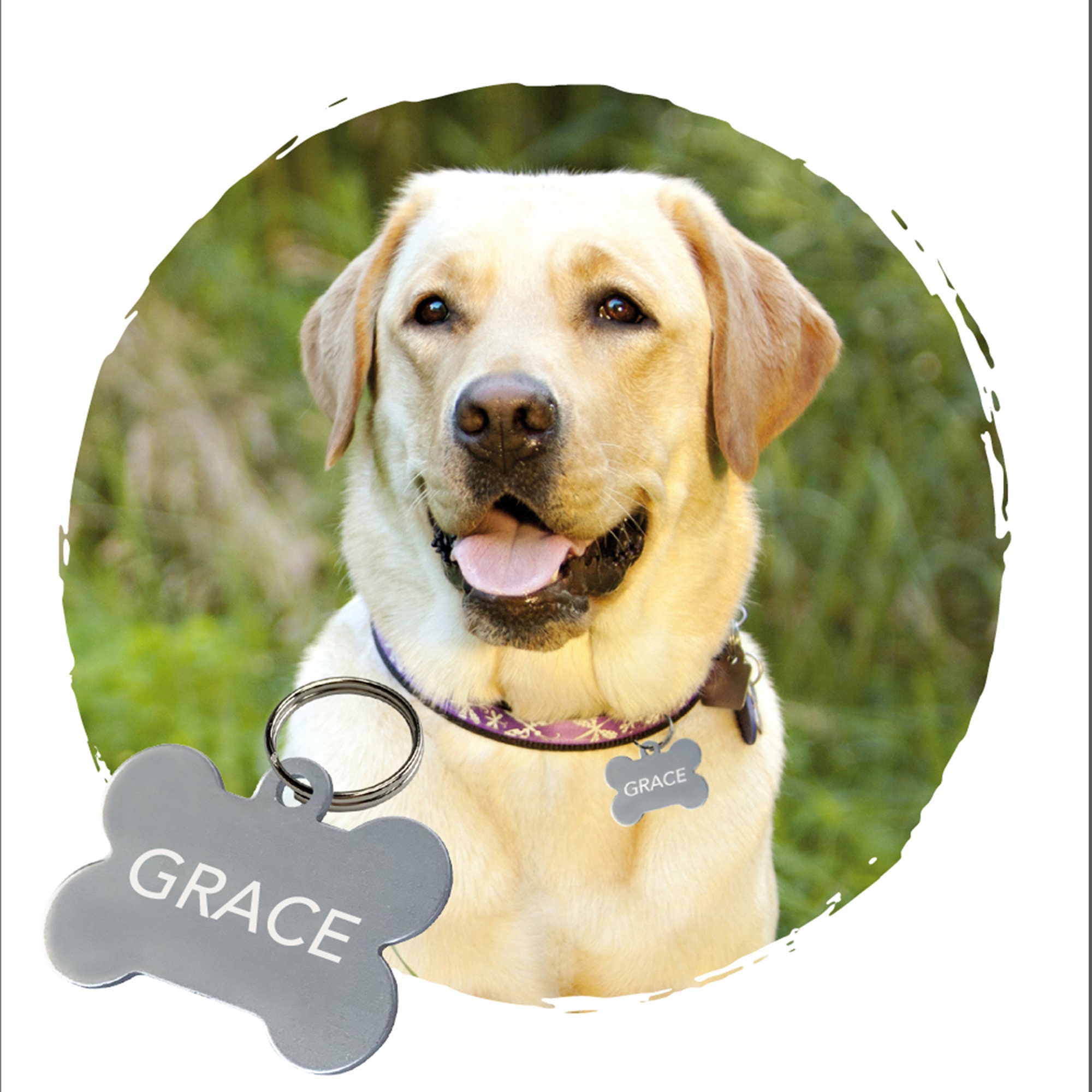 Médaille Grand Os Pour Chien Personnalisée