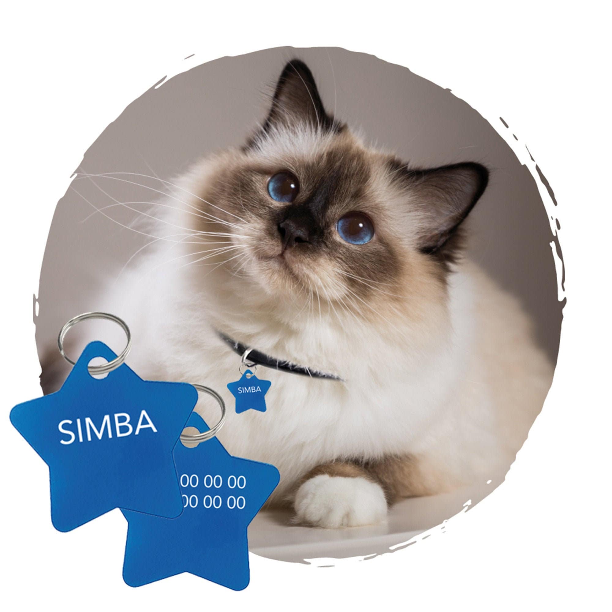 Médaille Etoile Pour Chat Personnalisée