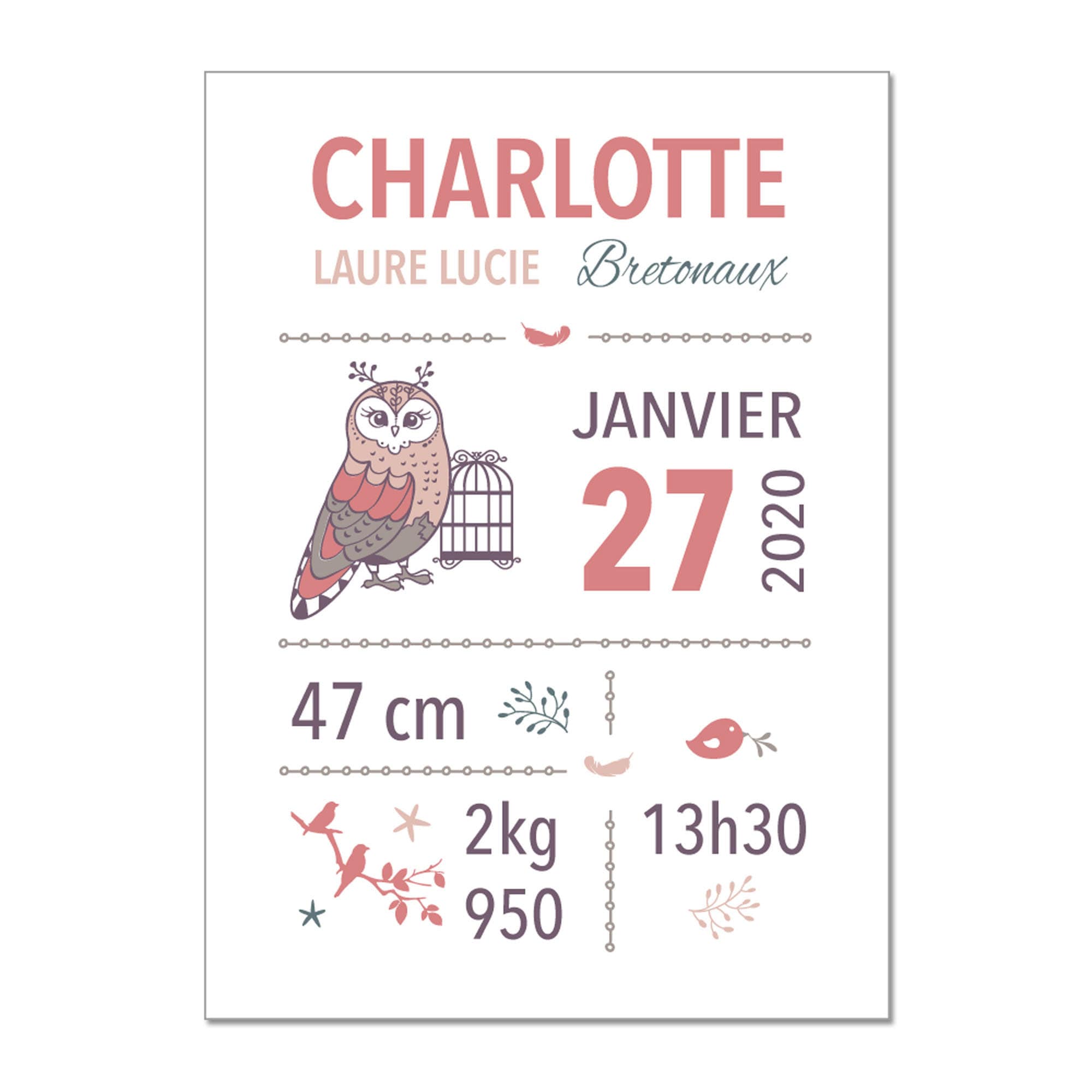 Poster Souvenir - Cadeaux Naissance Girly Chouette Personnalisable avec Les Informations de L'enfant