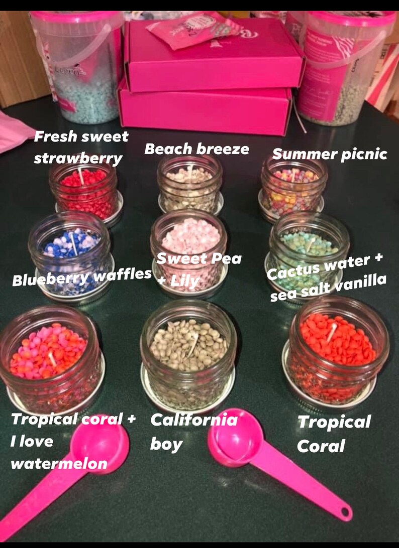 Pink Zebra Candles Etsy