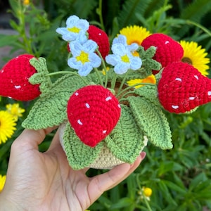 Crochet fraise plante, Amigurumi fraise décoration intérieure, décoration végétale, plante faite à la main, décoration intérieure végétale, cadeau de décoration intérieure, décoration de table mignonne