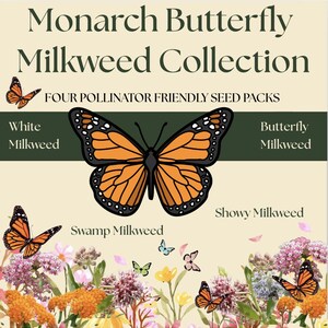 Monarch Butterfly Milkweed Collection -  Asclepias incarnata, A. tuberosa, A. speciosa, A. incarnata Alba blooms attract pollinators