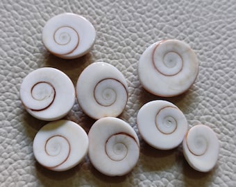 50Cts 8Pcs Natural Shiva Eye Gemstone Loose Shiva Eye Stone Smooth Polished  Shiva Eye Shell Wholesale Free Size Shell Healing Crystals AZ