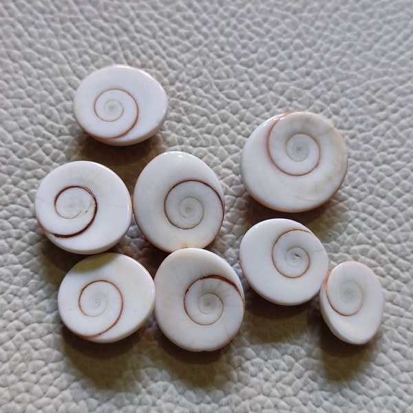 50Cts 8Pcs Natural Shiva Eye Gemstone Loose Shiva Eye Stone Smooth Polished  Shiva Eye Shell Wholesale Free Size Shell Healing Crystals AZ