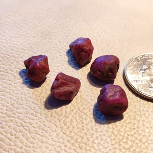 May include: Five small, rough, dark pink ruby stones, next to a US quarter coin for scale.