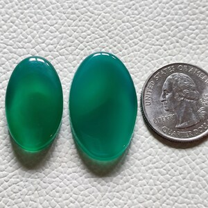 Può includere: Due cabochon ovali in agata verde, uno leggermente più grande dell'altro, con un motivo a spirale bianco. I cabochon sono mostrati accanto a un quarto di dollaro americano per il confronto delle dimensioni.
