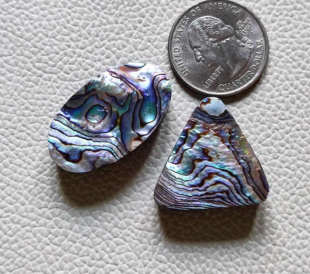 02 Pcs Fine Quality Natural Abalone Shell Cabochon Gemstone for Making ...