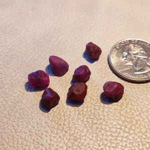 May include: Seven small, rough, dark pink gemstones, likely rubies, are scattered on a white surface. A US quarter is included for scale.
