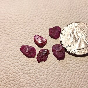Puede incluir: Cinco pequeñas piedras preciosas de rubí rojo rugosas, cada una del tamaño de un grano de arroz, están esparcidas sobre una superficie texturizada marrón claro. Se incluye una moneda de veinticinco centavos de dólar estadounidense para la escala.