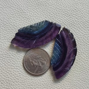 以下が含まれることがあります： 2つの葉の形をした彫刻された蛍石のcabochons、1つは濃い紫色で、もう1つは青緑色です。cabochonsは、アメリカの25セント硬貨の大きさです。