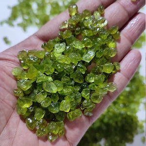 May include: A close-up of a handful of small, green, faceted peridot crystals.