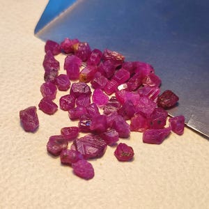 May include: A collection of raw, uncut ruby gemstones. The rubies are a deep, vibrant pinkish-red color, with irregular shapes and varying sizes. They are scattered on a light-colored surface, with a metal tool in the background.