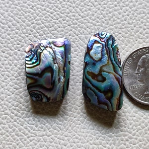 02 peças de pedra preciosa de cabochão de concha de abalone natural de alta qualidade para fazer joias pingente tamanho mix formato solto concha de abalone pedra preciosa um