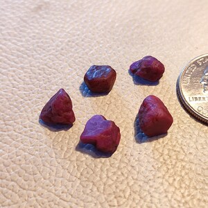 May include: Five rough, deep red gemstones of varying shapes are displayed. The stones are next to a U.S. quarter for size comparison. The gemstones have a natural, unpolished appearance, with a rich, dark red color.