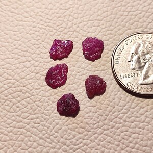 May include: Five rough, uncut ruby gemstones in varying sizes, displaying a deep red hue. A U.S. quarter coin is placed next to the rubies for size comparison. The gemstones have a natural, irregular shape and texture.