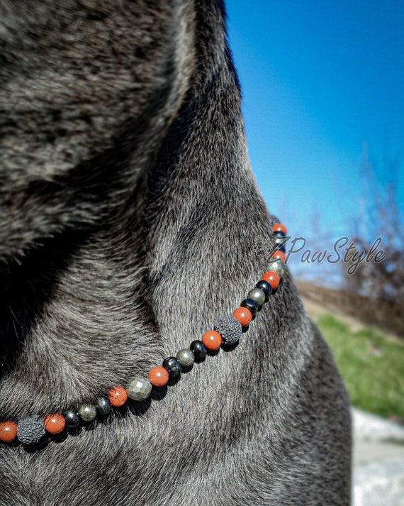 Beaded Necklace Collar Jewellery for Dogs Staffy Pitbull - Etsy
