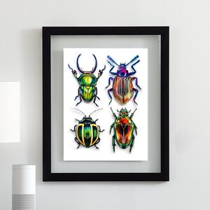 Real Dung Beetle In Acrylic Cube - Unique Science Desk Decoration With Sand Ball