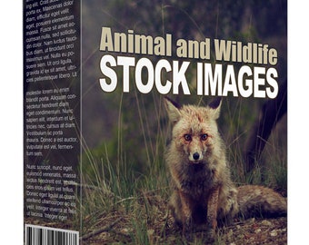 Unique HD Animal and Wildlife Stock Images | Wall Art Posters or Stickers