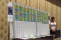 2025 Fantasy Football Standing Draft Board with 500+ Player Labels - Standard Draft or Auction - IDP Available - 8-16 Teams, 23 Rounds