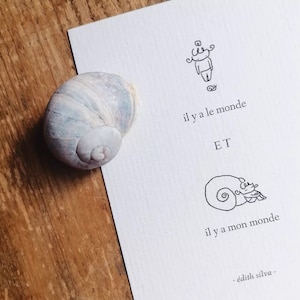 Carte petite pensée Coquille