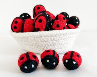 Felt Ladybugs, Felt Insects, Flisat Table Accessories, Bug Sensory Play, Felted Bugs, Craft Supplies, Montessori Toddler, Backyard Bugs