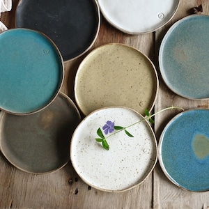 Assiette apéritif en poterie, assiette à dessert ronde en céramique, poterie terreuse faite main, petit plat de service d'accompagnement en argile, vaisselle minimaliste en grès