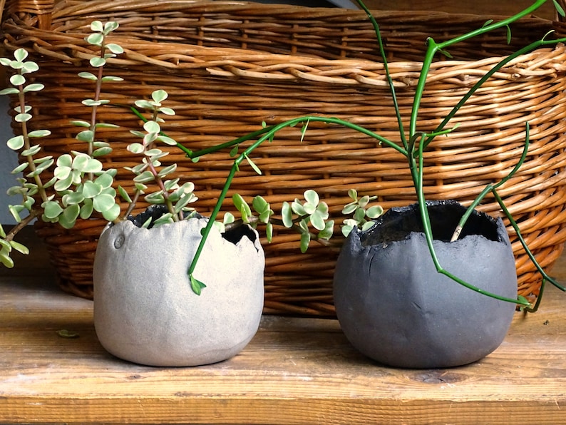 Round Pottery Planter Organic Plant Pot Minimalist Ceramic Succulent Cactus Planter Handmade Indoor Outdoor Planter Rustic Centerpiece Pot image 1
