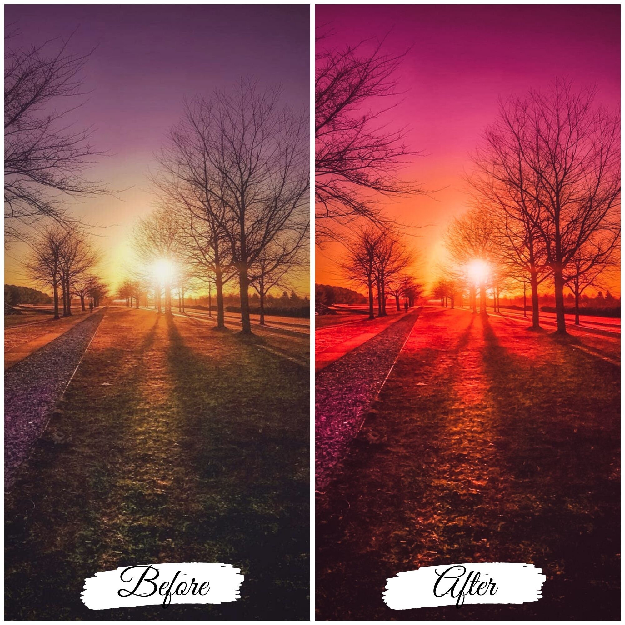 5 BRIGHT SUNSET Lightroom Presets Sunset Glow Presets Bright Etsy