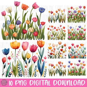 Bloemenrand clipart tulp png digitale download