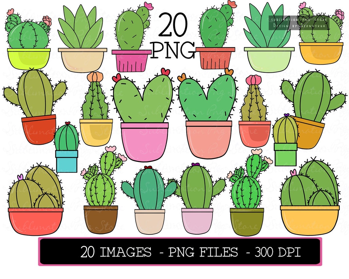 Cute Cactus Clipart Cactus Bundle Cactus Clip Art Succulent - Etsy